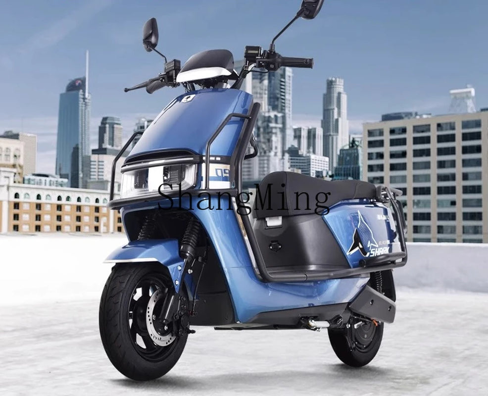 ZYH New Electric Motorcycle Long Battery Life Adult Home Pedal Graphene Battery Car Takeaway