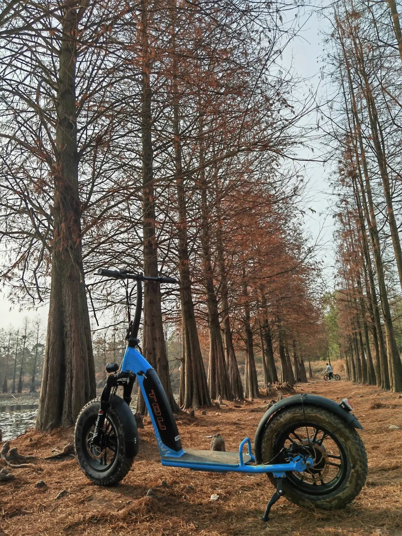 LOHAS New Ready 500W Motor E Scooter Adult off Road Escooter All Terrain Electric Scooter USA Delivery