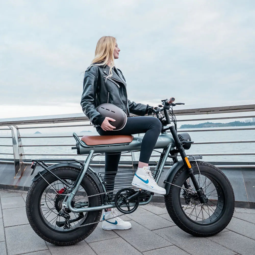 Coswheel Electric Bike CT20 1500W Motorcycle 20Inch Fatbike Ebike Mountain Bike 48V 25AH Bikes Adult Electric Bicycle Motocycles