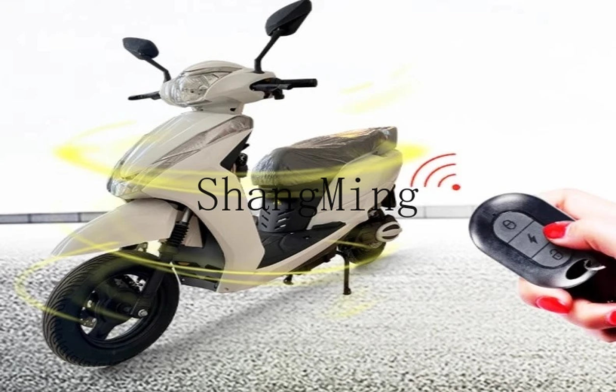 ZYH High-Speed Climbing Electric Motorcycle Household Transportation Electric Pedal Motorcycle