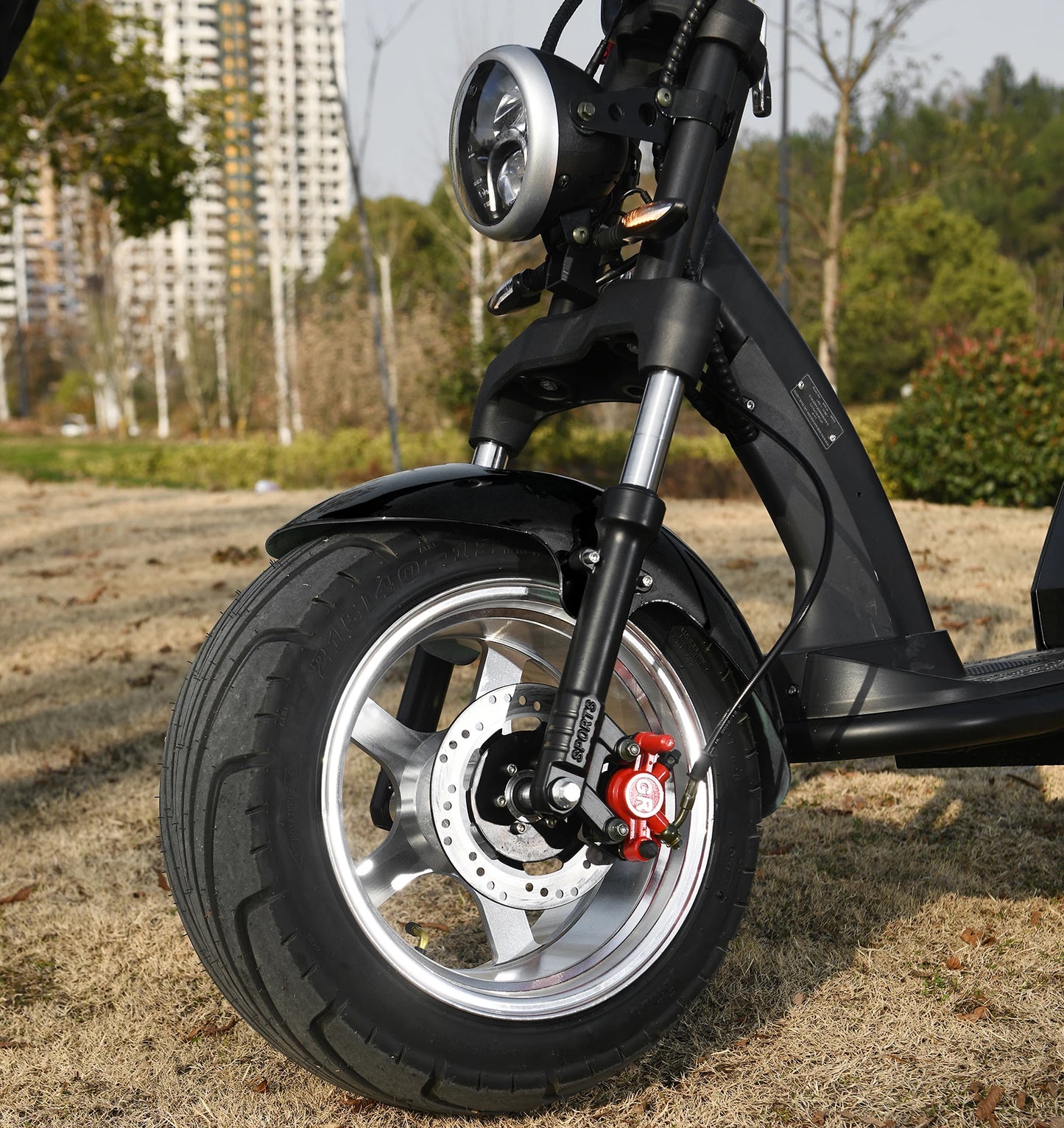 Adult Electric Motorcycle 3000W Motor Max Speed 70 KM/H 18 Inch Fat Tire 60V30AH Mileage 60-80KM 2 Wheel E Scooter