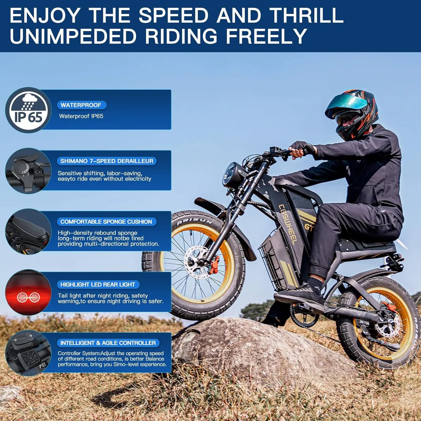 Coswheel Electric Bike Dual Motor GT20 Pro/Gt20 3000W 48V 40AH Mountain Bikes Electric off Road Bike Fat Tires Motorcycle Ebike