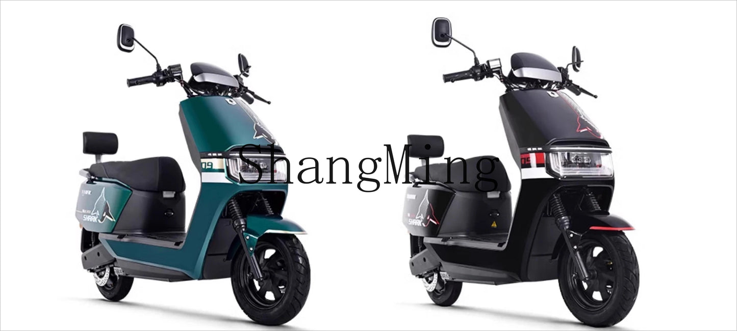 ZYH New Electric Motorcycle Long Battery Life Adult Home Pedal Graphene Battery Car Takeaway