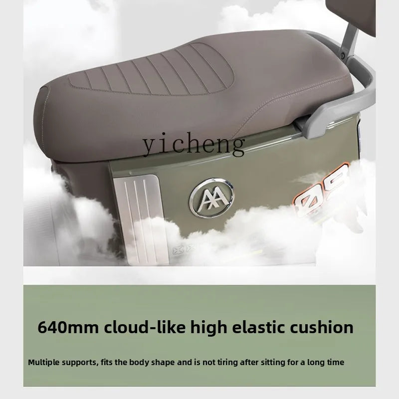 TQH Electric Vehicle Lead Acid Battery Lightweight Adult Mobility Fashion Electric Motorcycle