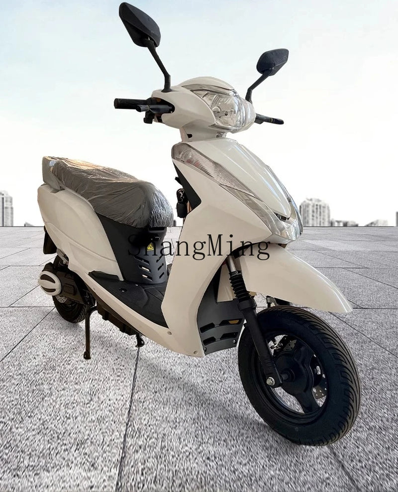 ZYH High-Speed Climbing Electric Motorcycle Household Transportation Electric Pedal Motorcycle