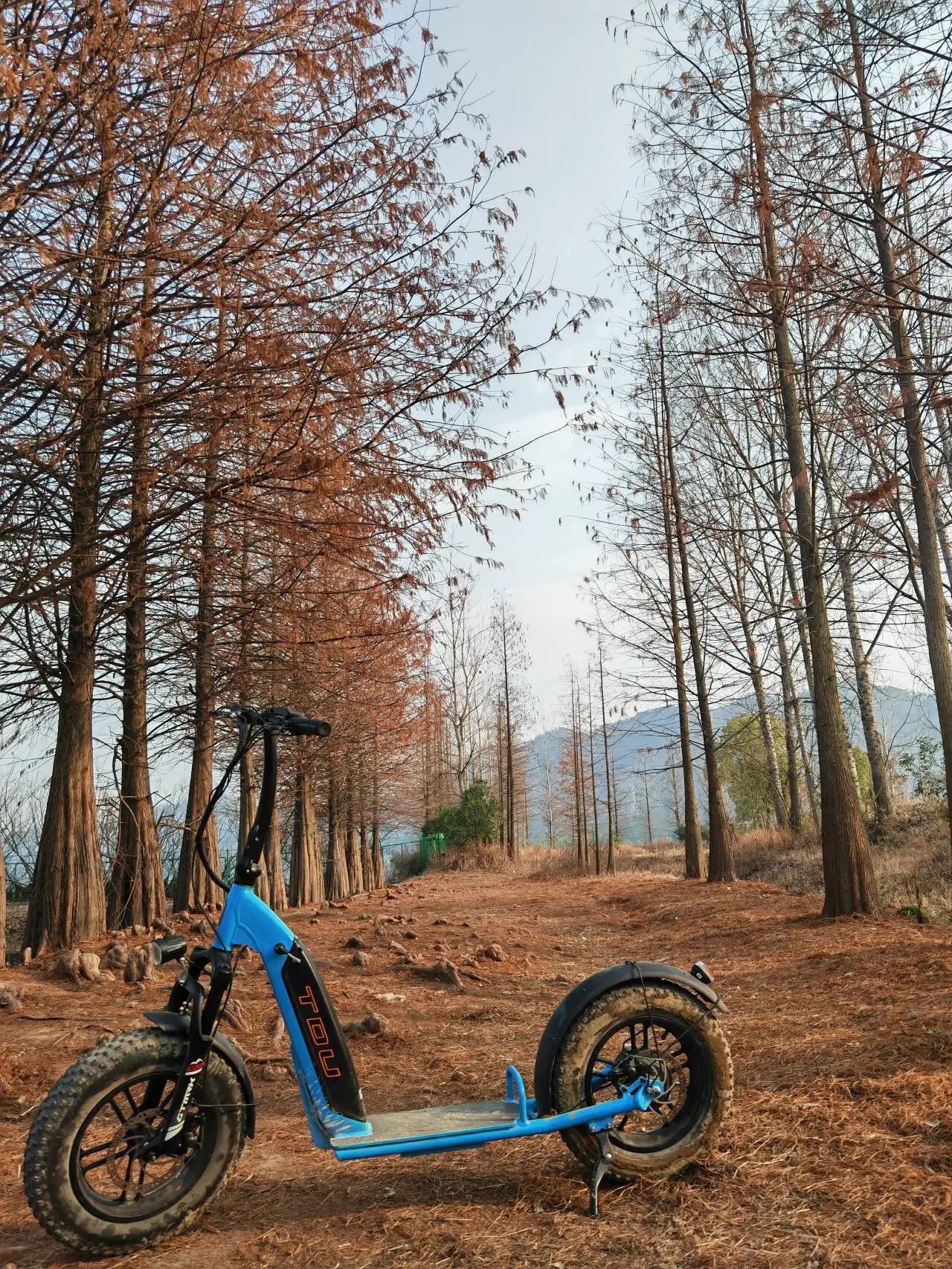 LOHAS New Ready 500W Motor E Scooter Adult off Road Escooter All Terrain Electric Scooter USA Delivery