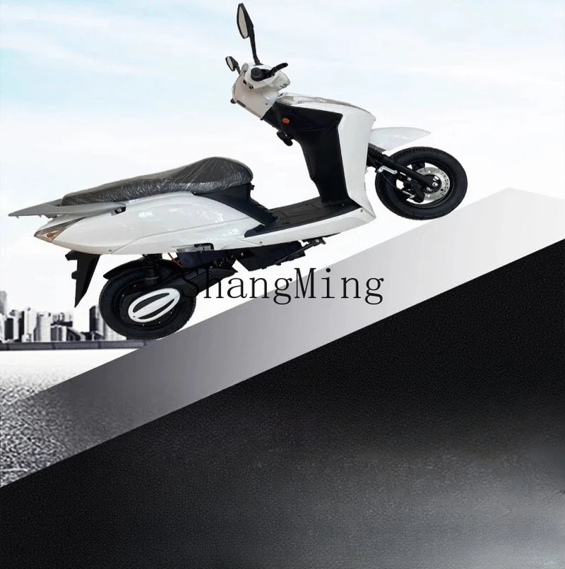 ZYH High-Speed Climbing Electric Motorcycle Household Transportation Electric Pedal Motorcycle