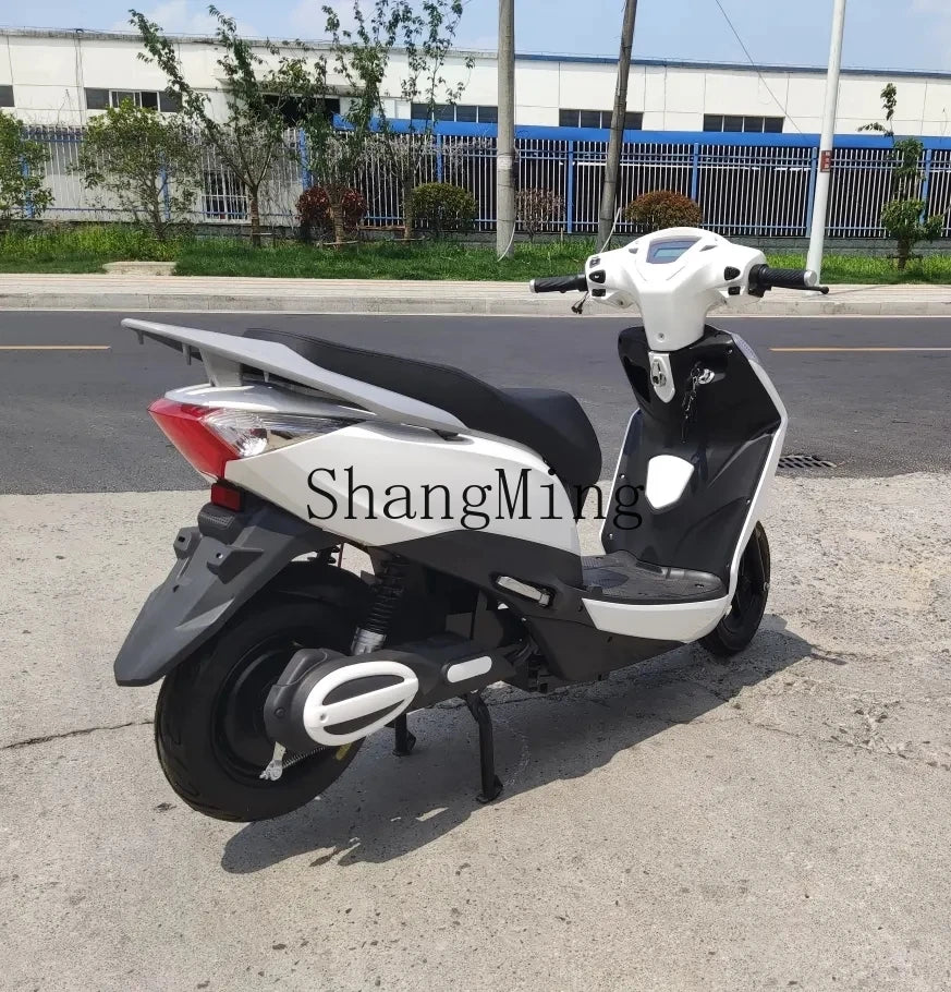 ZYH High-Speed Climbing Electric Motorcycle Household Transportation Electric Pedal Motorcycle