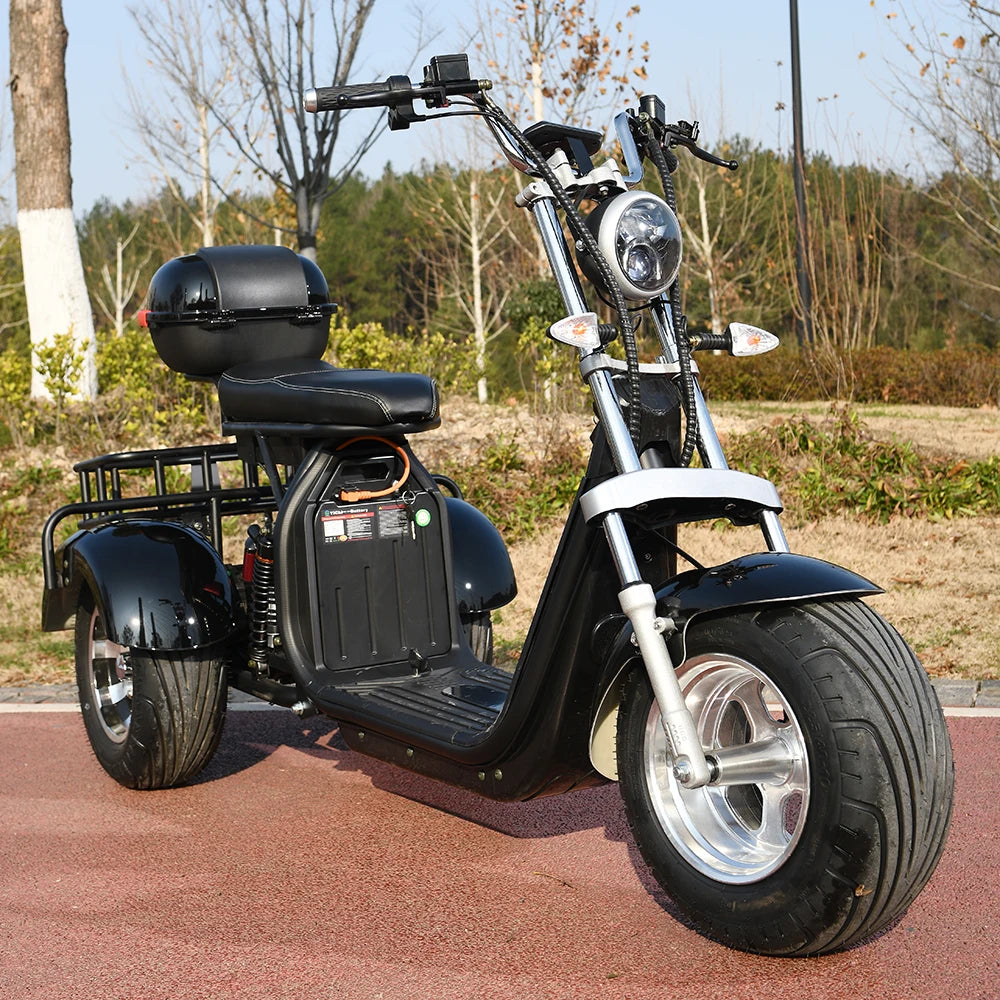 3 Wheel Three Speed Regulation Charge Power Mobility Scooter 3000W off Road Three Wheel Electric Bike Tricycle Adult Motorcycle