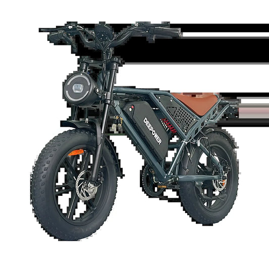 1000W 48V 60AH Adult Ebike Electric Bike Mountain Max 55KM/H Speed 20Inch Fat Tire Cycling Bicycle Electric Bicycle Off-Road