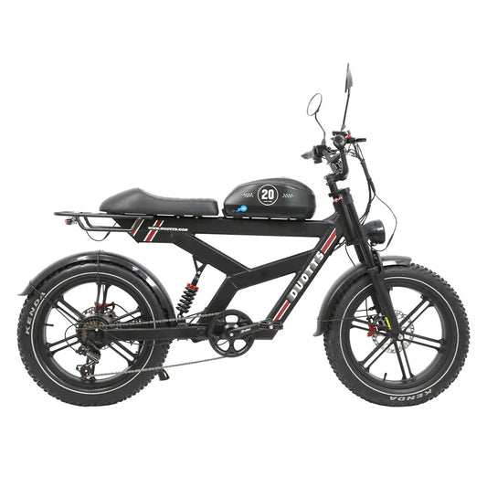DUOTTS F20 20" Retro Electric Dirt Bike 750W Motor 52V 27Ah Battery