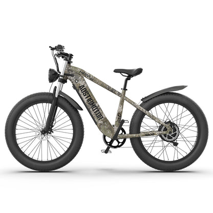 1000W Electric Bike