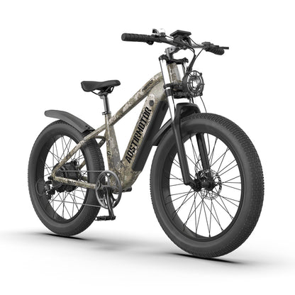 1000W Electric Bike