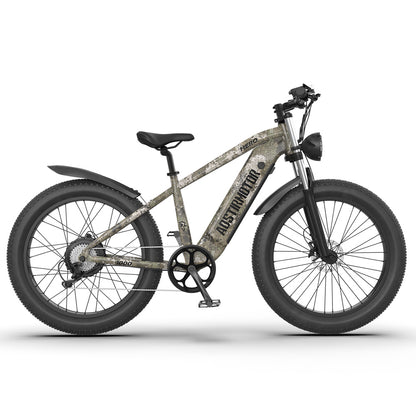 1000W Electric Bike