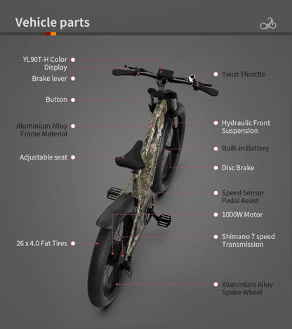 1000W Electric Bike