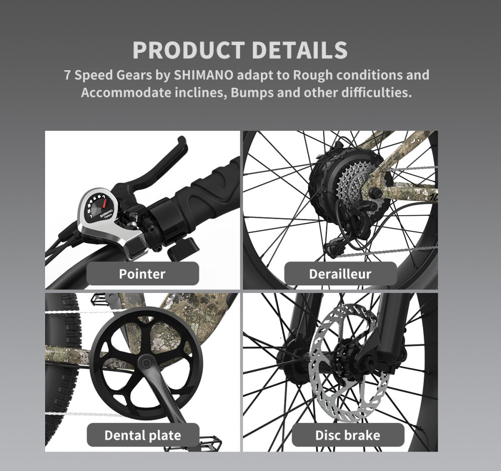 1000W Electric Bike