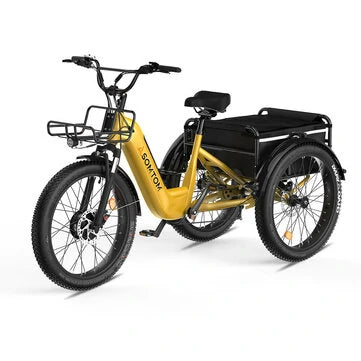 ASOMTOM WHALE Electric Tricycle Cargo