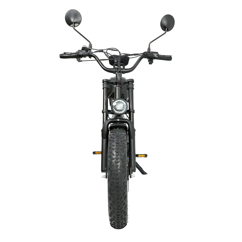 DUOTTS F20 20" Retro Electric Dirt Bike 750W Motor 52V 27Ah Battery