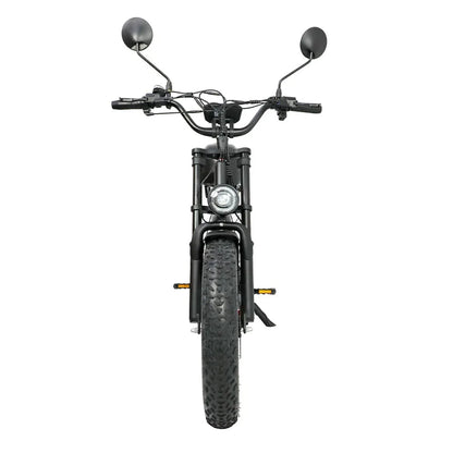 DUOTTS F20 20" Retro Electric Dirt Bike 750W Motor 52V 27Ah Battery