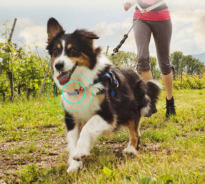 GPS Collar