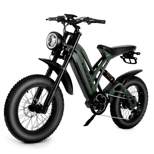 1000W Mountain Adult Electric Bicycle 48V20AH Motorcycle Style Electric Bicycle 20 Inch Dual Oil Disc Off-Road Electric Bicycle