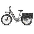 ASOMTOM WHALE Electric Tricycle Cargo