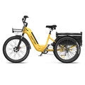 ASOMTOM WHALE Electric Tricycle Cargo