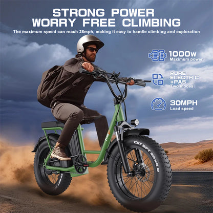 2025 New Electric Bike for Adults 1000W Electric Bicycle 48V 15Ah/25Ah E-Bike Mountain Dual Shock Absorber Ebike
