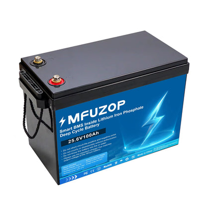 DATOUBOSS 12V24V100A Lithium Battery Lifepo4 Rechargeable BMS for Solar System Home Outdoor Travel Local Warehouse Fast Shipping