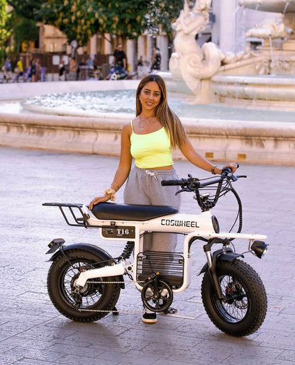 Coswheel Electric Bike Adult Road Ebike T16 Mountain Ebikes Urban Commuting Electric Bike 48V 20AH Outdoor Electric Motorcycle