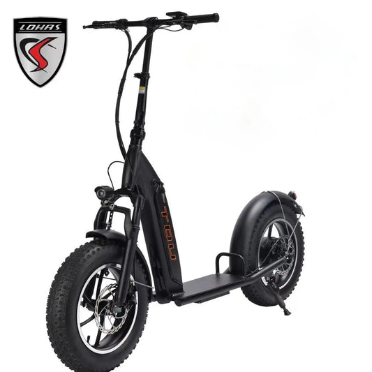 LOHAS New Ready 500W Motor E Scooter Adult off Road Escooter All Terrain Electric Scooter USA Delivery