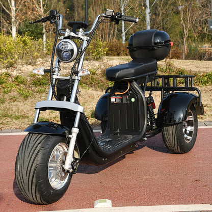 3 Wheel Three Speed Regulation Charge Power Mobility Scooter 3000W off Road Three Wheel Electric Bike Tricycle Adult Motorcycle