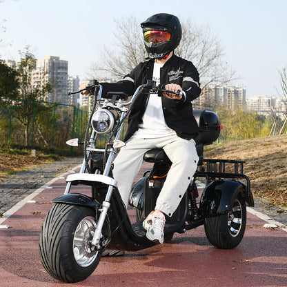 3 Wheel Three Speed Regulation Charge Power Mobility Scooter 3000W off Road Three Wheel Electric Bike Tricycle Adult Motorcycle