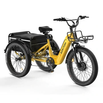 ASOMTOM WHALE Electric Tricycle Cargo