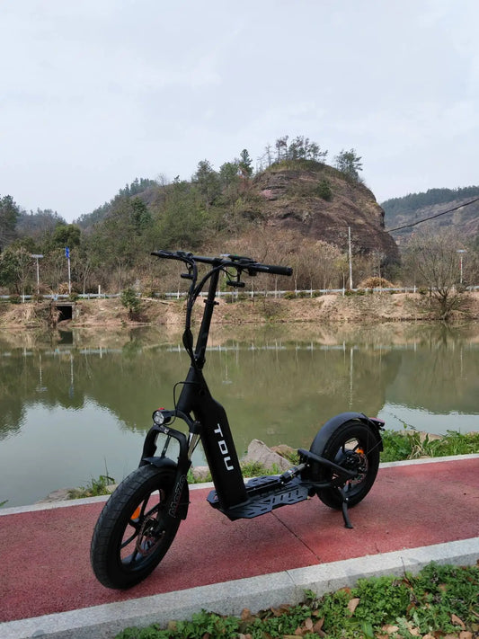 LOHAS USA Warehouse Ready to Ship 500W Rear Motor Disc Brake Electric Scooter Escooter for Adult Trottinette