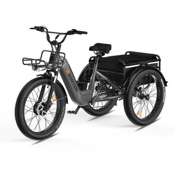 ASOMTOM WHALE Electric Tricycle Cargo