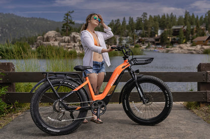 HEZZO Electric Bike for Adults 750W Peak Motor 20MPH Ebike 52V 17AH Battery Adult Electric Bicycles 26" X 4.0 Fat Tires 60 Miles