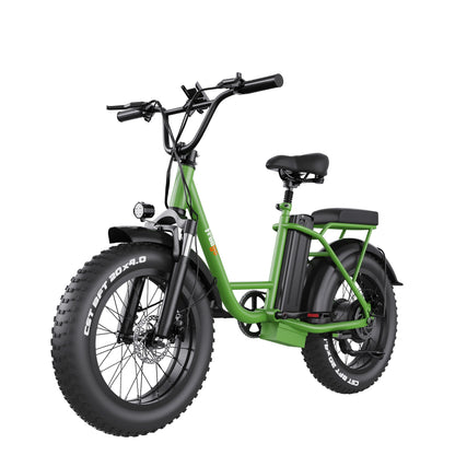 2025 New Electric Bike for Adults 1000W Electric Bicycle 48V 15Ah/25Ah E-Bike Mountain Dual Shock Absorber Ebike